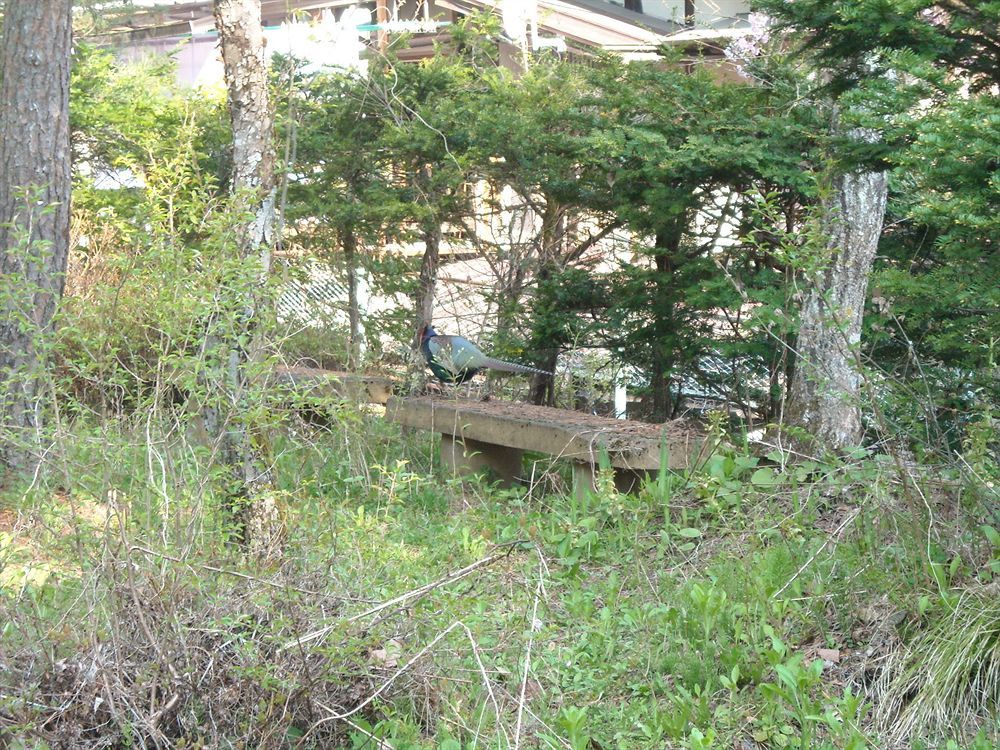 Hida Gasshoen Takayama  Exterior photo